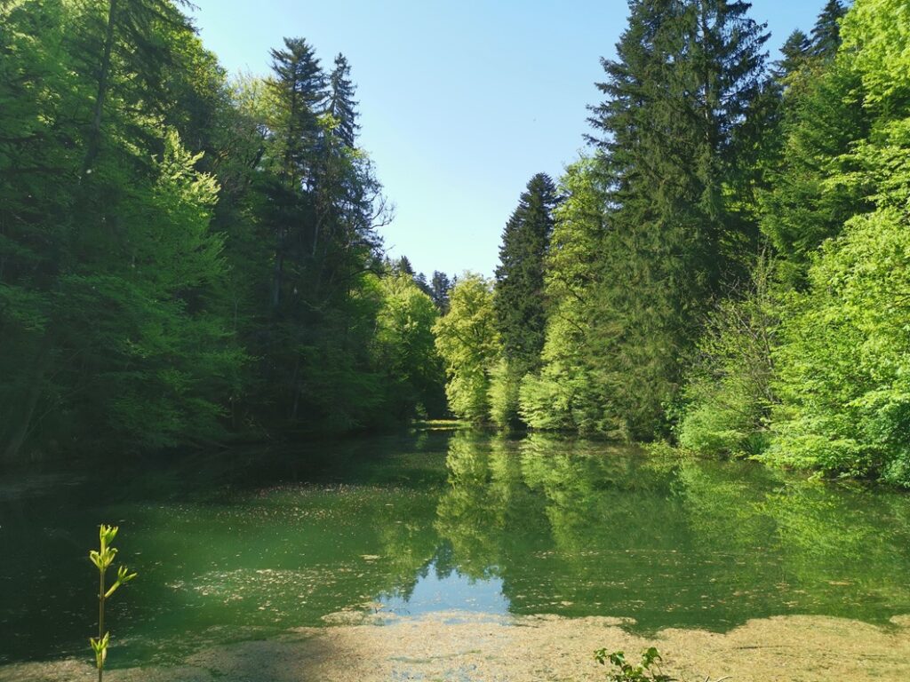 Fahrenbachtobel Weiher